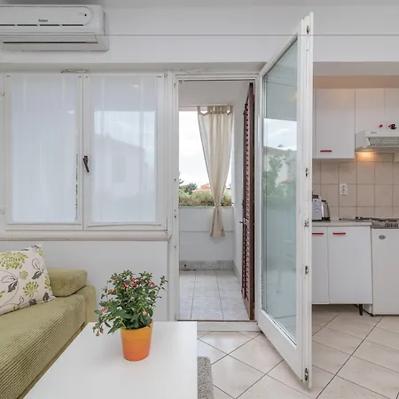 Vojin * Τρογκίρ