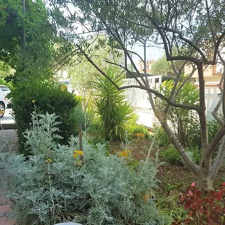 Apartment Vojin