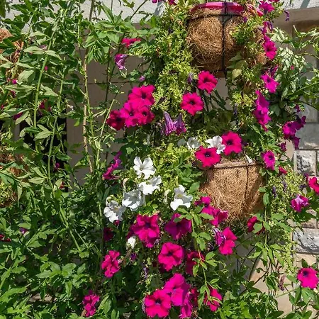 Apartment Vojin Trogir