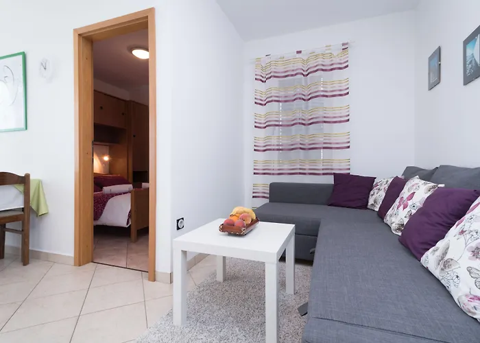 Appartement Vojin *