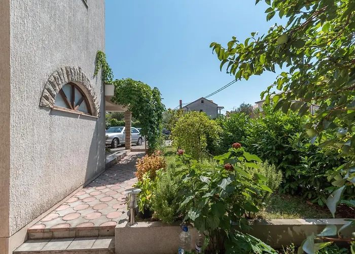 Vojin * 트로기르