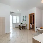 Apartment Vojin