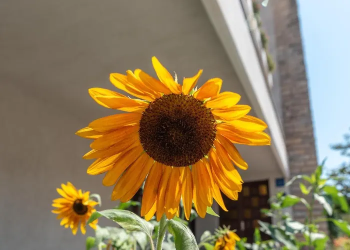 Apartamento Vojin Trogir